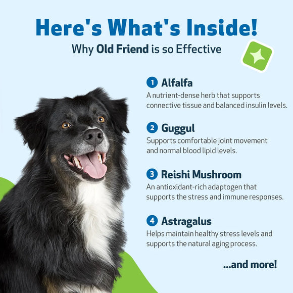 Old Friend for Senior Dogs (2 oz) - Dog Supplements & Vitamins 4