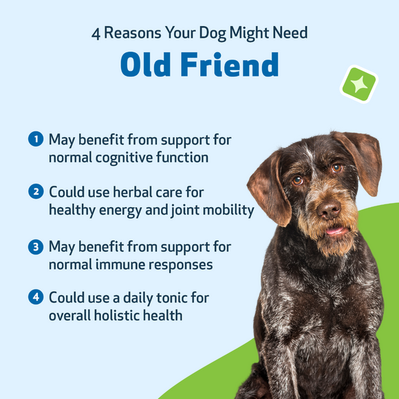 Old Friend for Senior Dogs - Dog Supplements & Vitamins 3