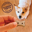 Old Mother Hubbard Grain-Free Mini P-Nuttier 'N Nanners Peanut Butter & Banana Flavored Dog Treats