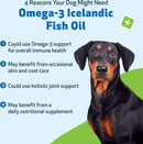 Omega-3 Daily Wellness - Skin Joint Brain and Heart Health For Dogs & cats (8 oz) - Dog Health Supplement 13