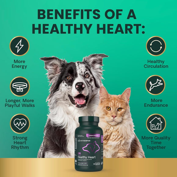Omega Healthy Heart Capsules for Cats and Dogs - Dog Supplements & Vitamins 5