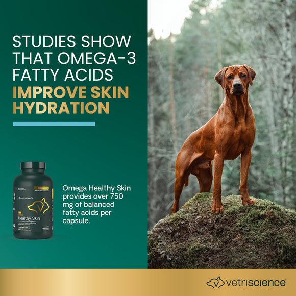 Omega Healthy Skin Capsule for Cats and Dogs - Dog Supplements & Vitamins 4