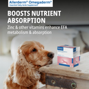 Omegaderm EZ-Dose for Medium & Large Dogs (28 packets) - Dog Supplements & Vitamins 5