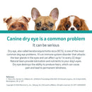Optimmune Ophthalmic Ointment (Cyclosporine 0.2%)