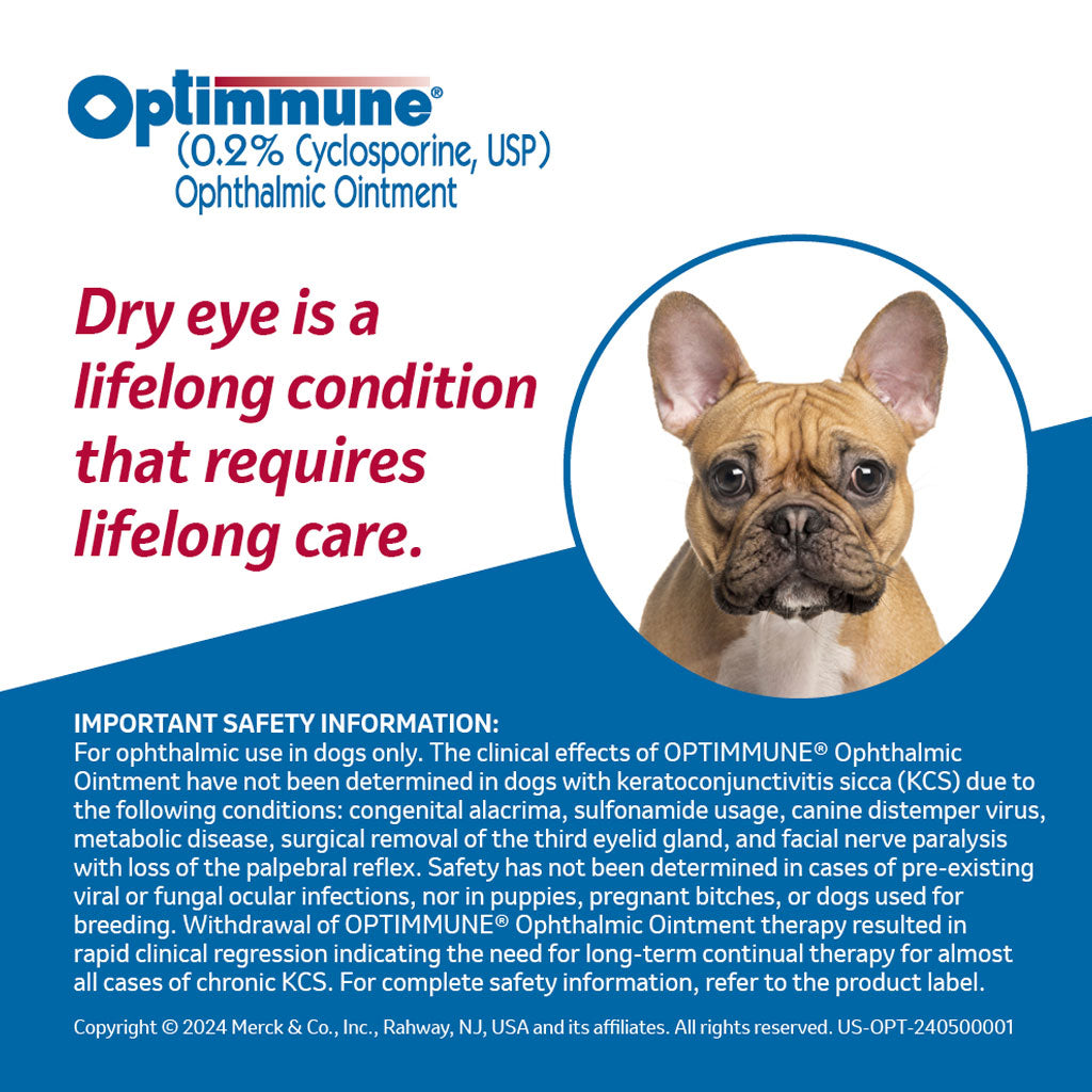Optimmune Ophthalmic Eye Ointment for Dogs | HardyPaw