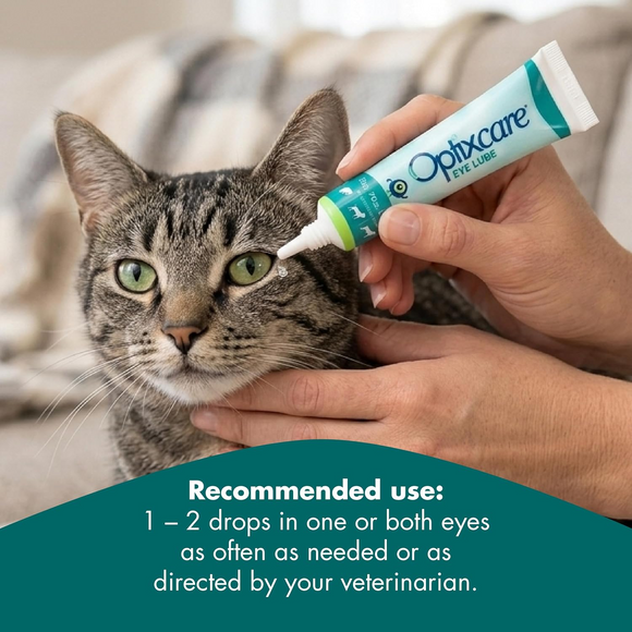 Optixcare Eye Lubricant for Dogs Cats & Horses (20 g) - Pet Eye Care 5