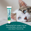 Optixcare Eye Lubricant for Dogs Cats & Horses (20 g) - Pet Eye Care 3