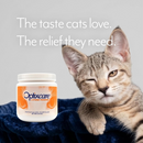 Optixcare L-Lysine Powder for Cats 100-g - Cat Supplements & Vitamins 4