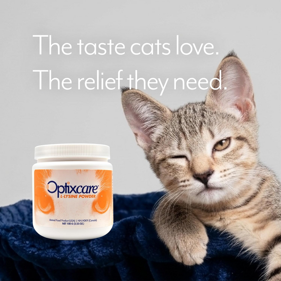 Optixcare L-Lysine Powder for Cats 100-g - Cat Supplements & Vitamins 4