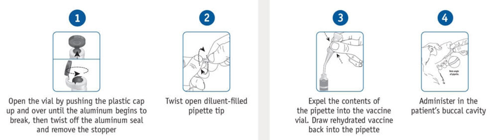 oral-bordetella-instructions