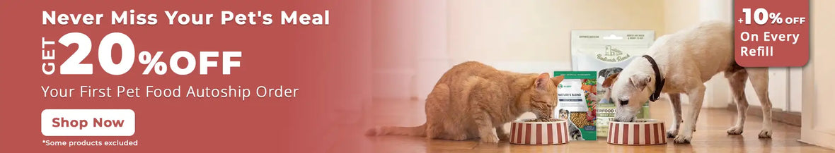 Orange tabby cat and white dog eating from striped bowls