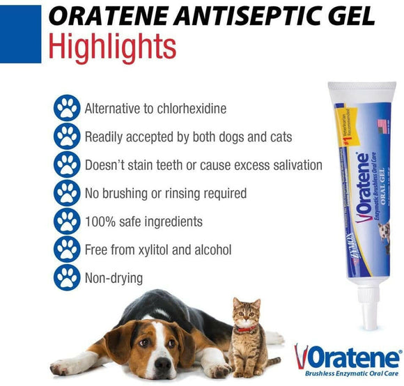 Zymox Oratene Brushless Enzyme Oral Gel for Dogs & Cats - Highlights