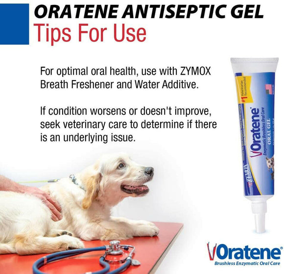 Zymox Oratene Brushless Enzyme Oral Gel for Dogs & Cats - Tips for Use