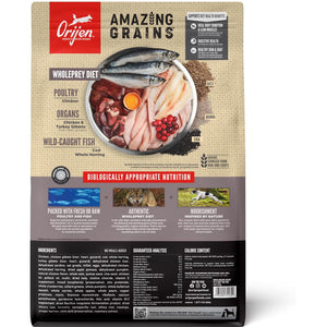 OrijenAmazing Grains dog food package on a white background