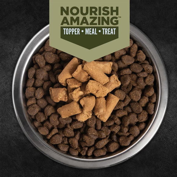 Bowl of dog food with Nourish Amazing topper on a dark background