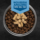 Bowl of dog food with Nourish Amazing treats on a dark background