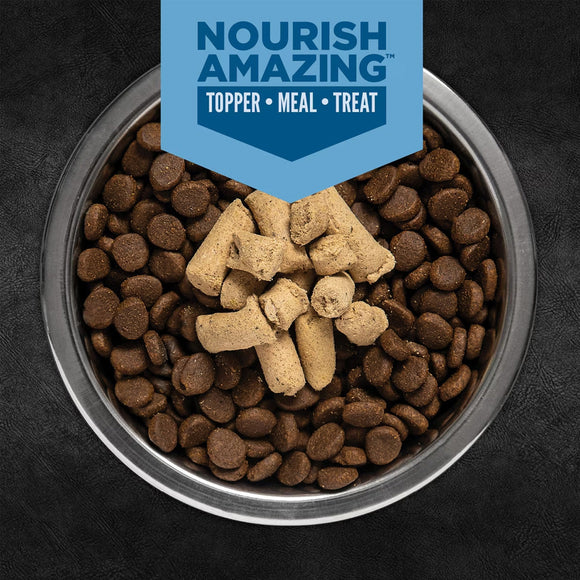 Bowl of dog food with Nourish Amazing treats on a dark background