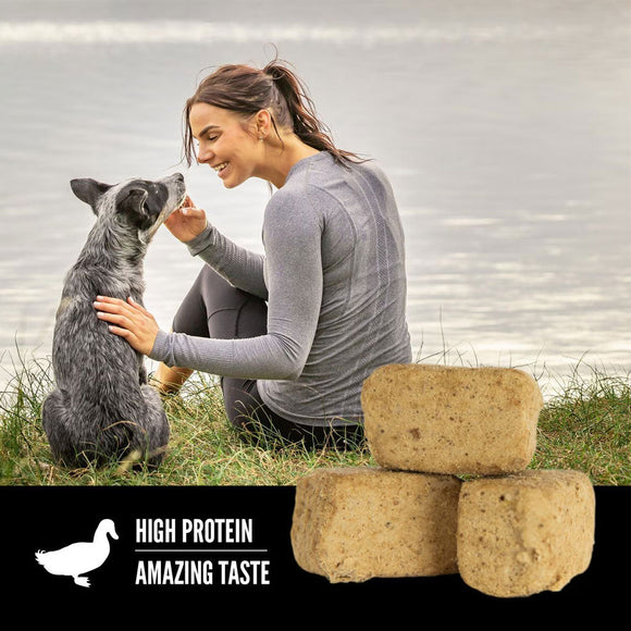 ORIJEN Free Run Duck Grain-Free High-Protein Freeze Dried Dog Treats, 3.25-oz bag