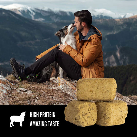 ORIJEN Grass Fed Lamb Grain-Free High-Protein Freeze Dried Dog Treats