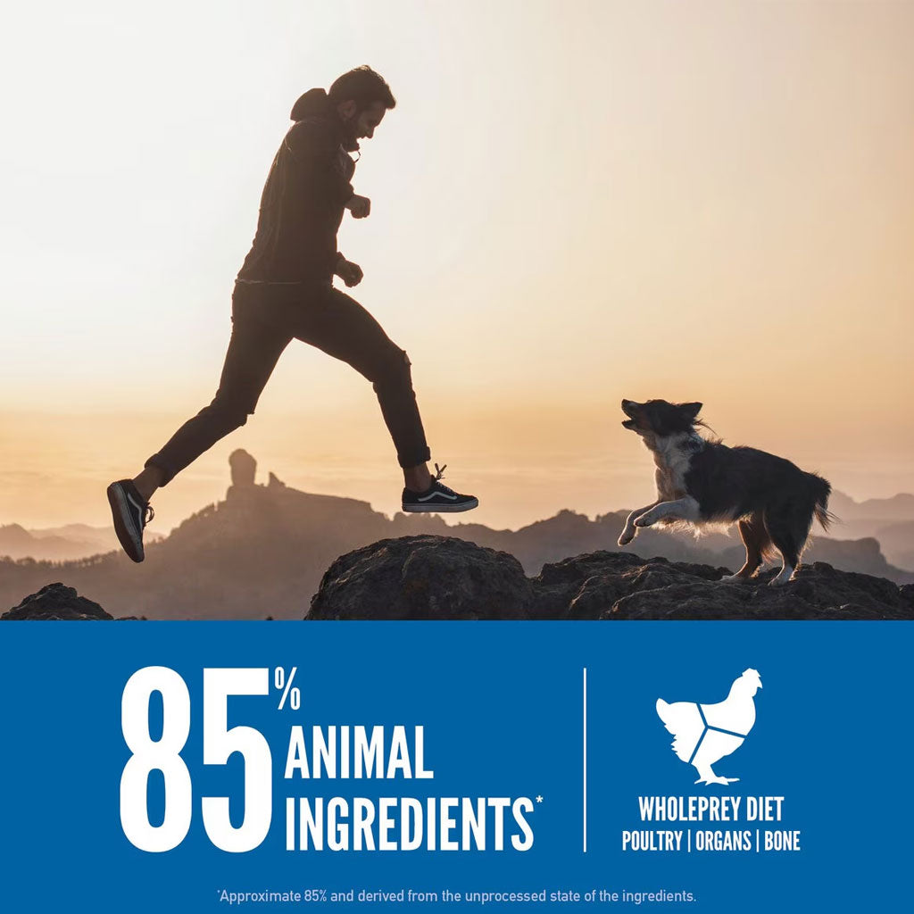 Orijen Original Dry Dog Food, 13 lbs