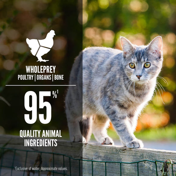 Cat standing on a wooden fence with Wholeprey product information overlay