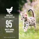 ORIJEN Premium Chicken & Salmon Kitten & Cat Food in Bone Broth Pate

