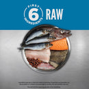Raw fish and ingredients on a metallic surface with 'First 6 Ingredients Raw' branding.
