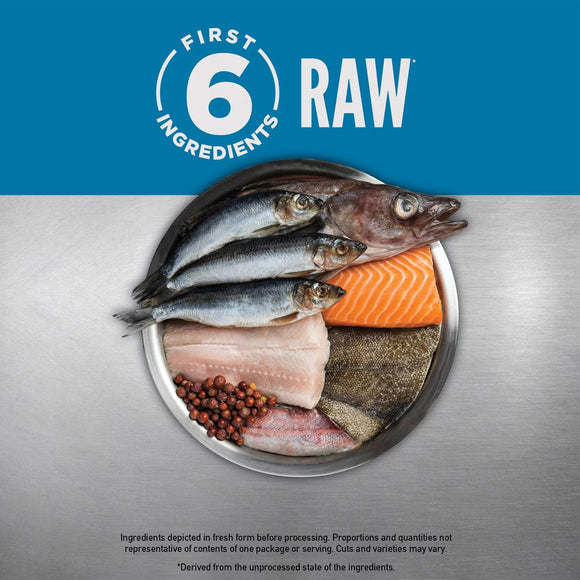 Raw fish and ingredients on a metallic surface with 'First 6 Ingredients Raw' branding.