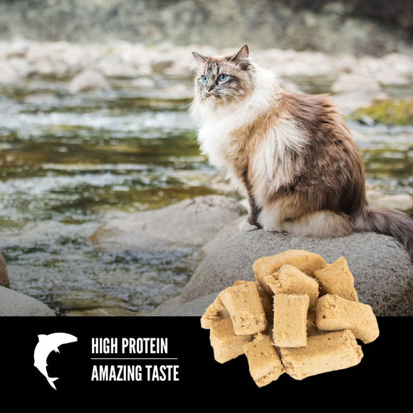 ORIJEN Six Fish Grain-Free High-Protein Raw Animal Ingredients Freeze Dried Cat Treats, 1.25-oz bag