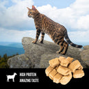 ORIJEN Tundra Grain-Free High-Protein Raw Animal Ingredients Freeze Dried Cat Treats, 1.25-oz bag