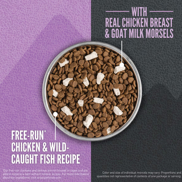 Dog food bowl with brown kibble and white pieces on a purple and gray background