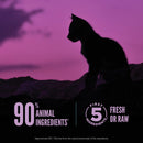 Silhouette of a cat against a purple sky with text about pet food ingredients.