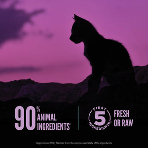 Silhouette of a cat against a purple sky with text about pet food ingredients.
