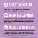 Purple informational poster about digestive health, brain development, and muscle development for kittens.