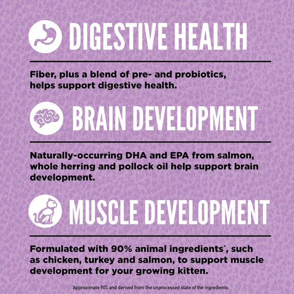 Purple informational poster about digestive health, brain development, and muscle development for kittens.