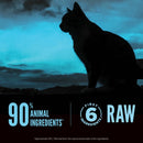 Silhouette of a cat against a blue sky with text about animal ingredients and raw food.