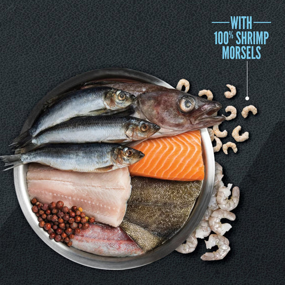 Assorted fish and shrimp on a dark background with text indicating shrimp morsels.