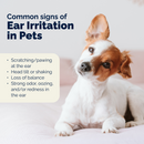 sign of ear irritation in dogs