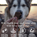 OTIS Wild Things Bison Jerky Treats for Dogs (4 oz)