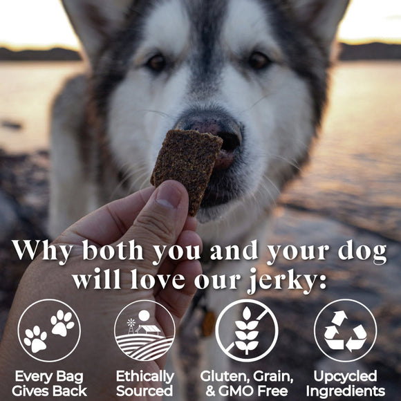 OTIS Wild Things Bison Jerky Treats for Dogs (4 oz)
