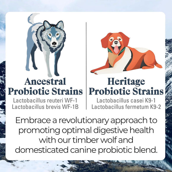 Otis Wild Things Digestive Health Ancestral Probiotics for Dogs
