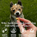 OTIS Wild Things Elk Trainers Bite-Sized Treats for Dogs (4 oz)