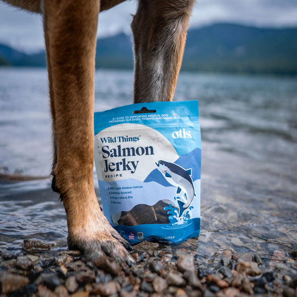 OTIS Wild Things Salmon Jerky Treats for Dogs (4 oz)