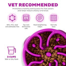 Outward Hound Fun Feeder Slo Bow Slow Feeder Dog Bowl Purple Flower - Bowls & Feeders 2