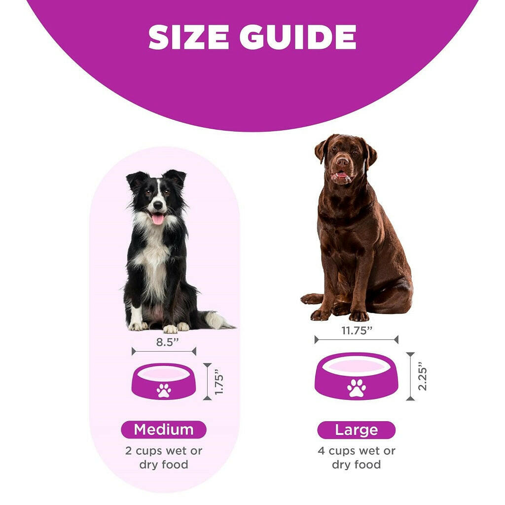 Outward Hound Fun Feeder Slo-Bowl, Large, Purple
