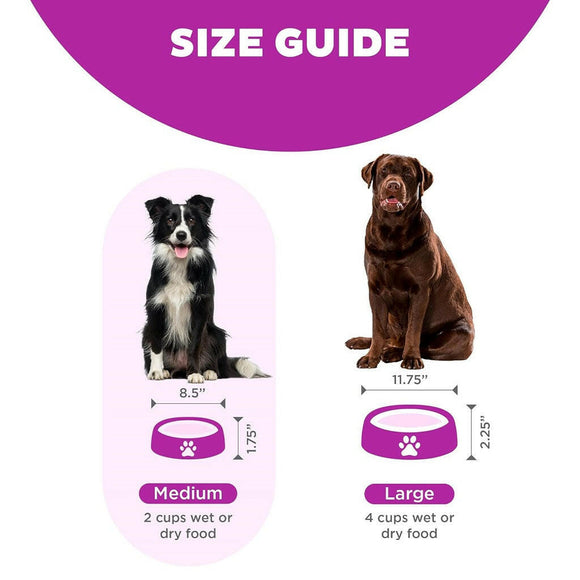 Outward Hound Fun Feeder Purple Flower Bowl for Dogs (Medium)