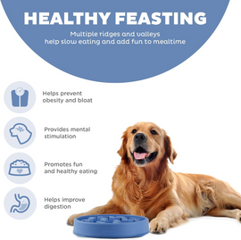 Outward Hound Fun Feeder Slo Bowl Slow Feeder Dog Bowl Blue - Toys 2