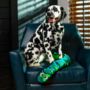 Outward Hound Invincible Durablez Snake 6 Squeaker Blue / Green Dog Toy (Extra Large)