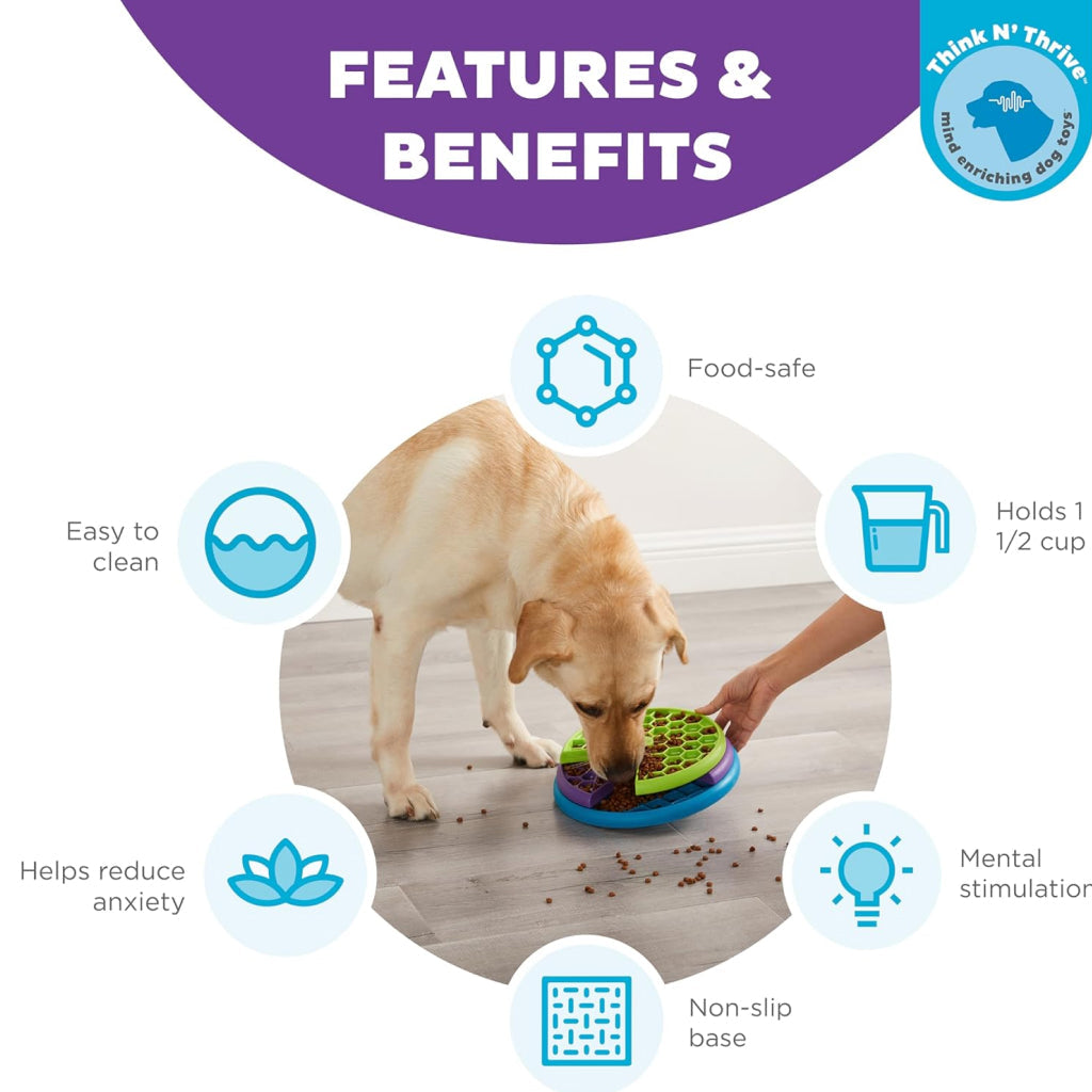 automatic water bowls for dogs Ficuswin 135Oz Automatic Water Dispenser For Large Dogs Patented Fit 3 –  Petocart