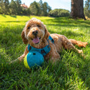 Outward Hound Nina Ottosson Treat Tumble Toy For Dogs -Small (Blue & Yellow)